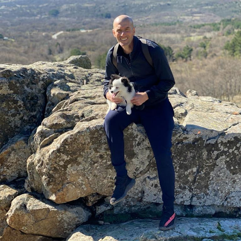 Zinédine Zidane Photo No7.