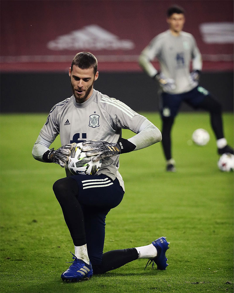David de Gea Photo No3.